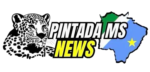 Logo Pintada MS News